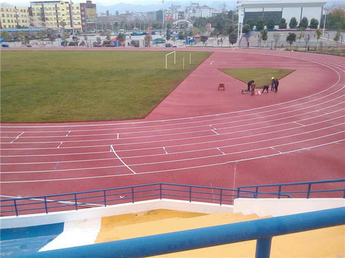 混合型自結紋跑道供應商 廣州躍康 滁州混合型自結紋跑道