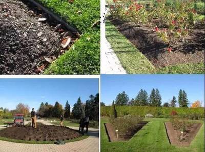 園林綠化及園林綠化施工全解