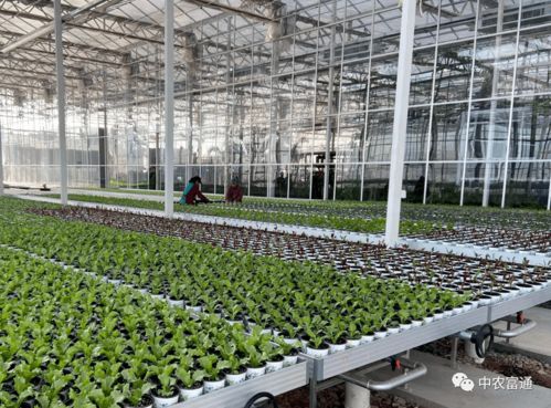 全力打造精品工程 2021年重點(diǎn)建設(shè)項(xiàng)目盤(pán)點(diǎn)