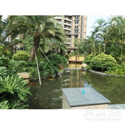 【工廠綠化養護、學校綠化養護、小區綠化養護修剪、園林綠化施工】-