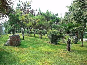 最新 河南這些東西統統免費 很多人還不知道