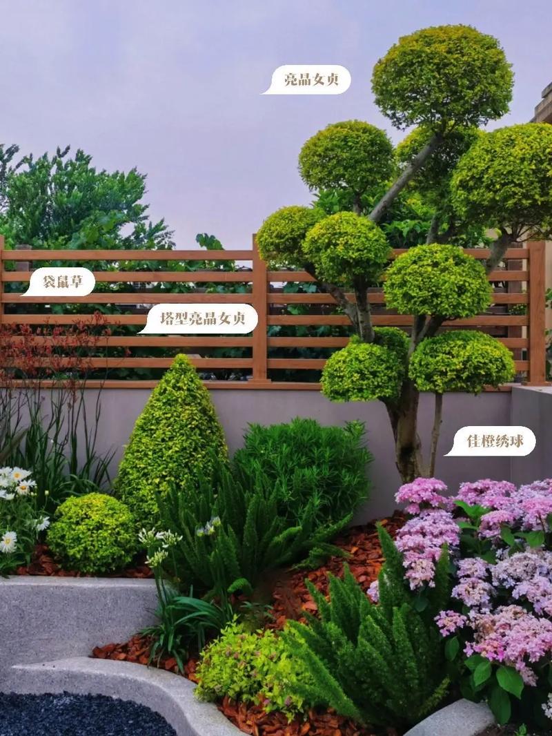 承接綠化工程,花鏡施工現場!#苗木種植基地