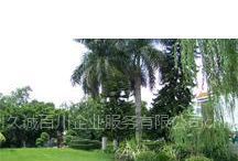 供應(yīng)蘇州高新區(qū)草坪綠化維護/綠化工程