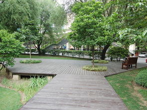 公路邊綠化園林綠化工程施工