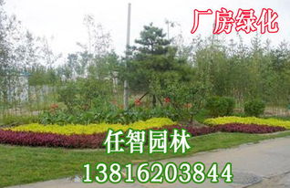 上海優(yōu)質廠區(qū)綠化服務與園林綠化工程施工指南