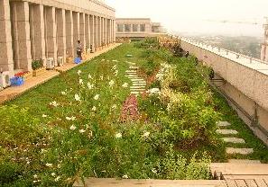 市園林綠化局檢查我區(qū)屋頂綠化工程，助力城市生態(tài)建設