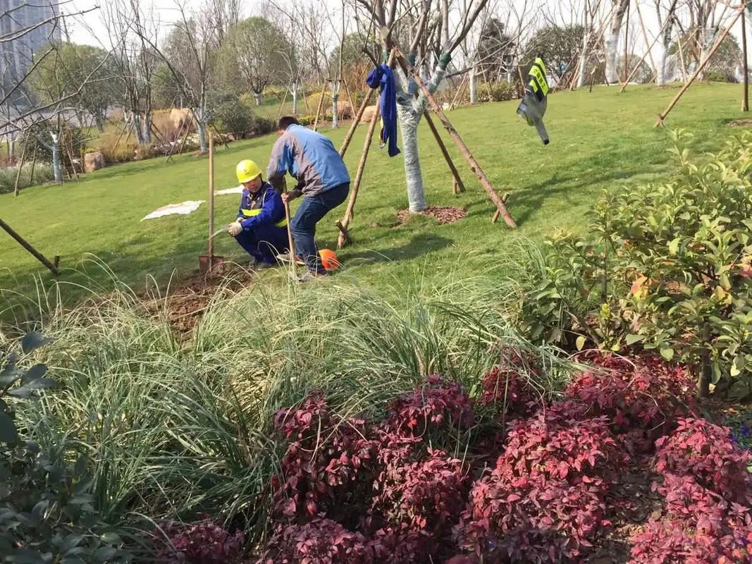 邊坡綠化工程 專業(yè)施工，筑造綠色家園的生態(tài)屏障
