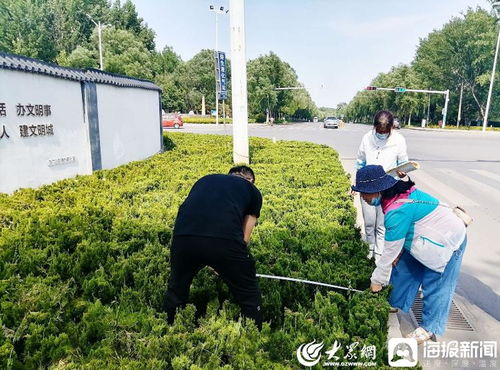 青州市園林綠化和環衛中心 卡準綠化施工精度尺，拉緊項目驗收質量繩——以高標準打造體育場地設施工程